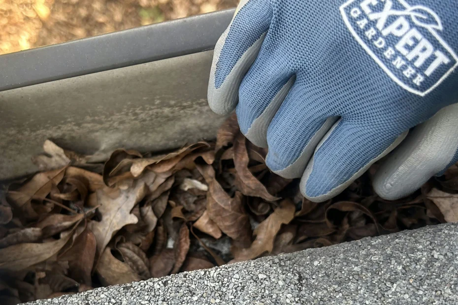 Gutter Cleaning Carencro