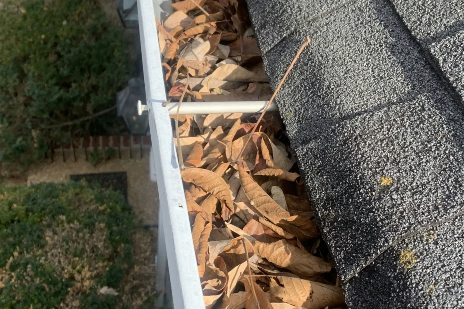 Gutter Cleaning Carencro