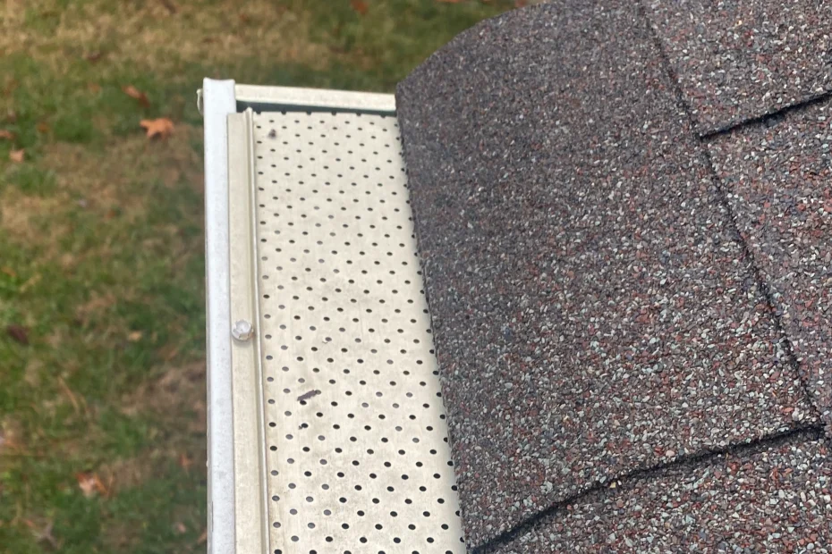 Gutter Cleaning Carencro