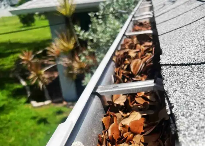 Gutter Cleaning Carencro home page